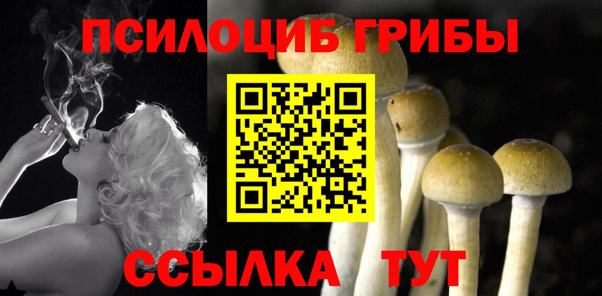 Псилоцибиновые грибы GOLDEN TEACHER  Псилоцибиновые грибы прущие грибы  Ярцево  Вход с VPN 